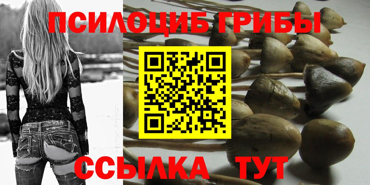 Галлюциногенные грибы прущие грибы Мурманск